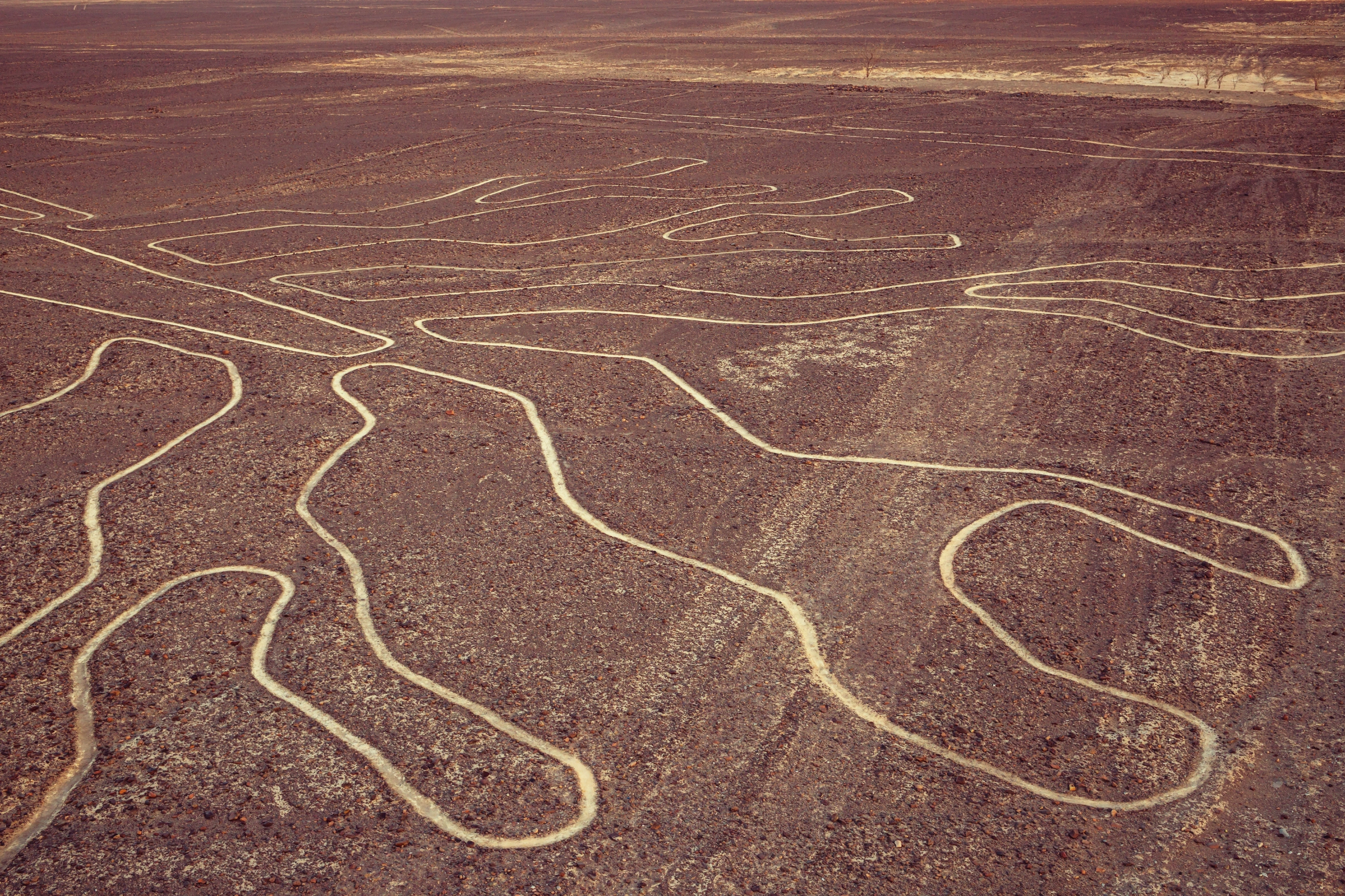 Nazca_Lines[1].webp